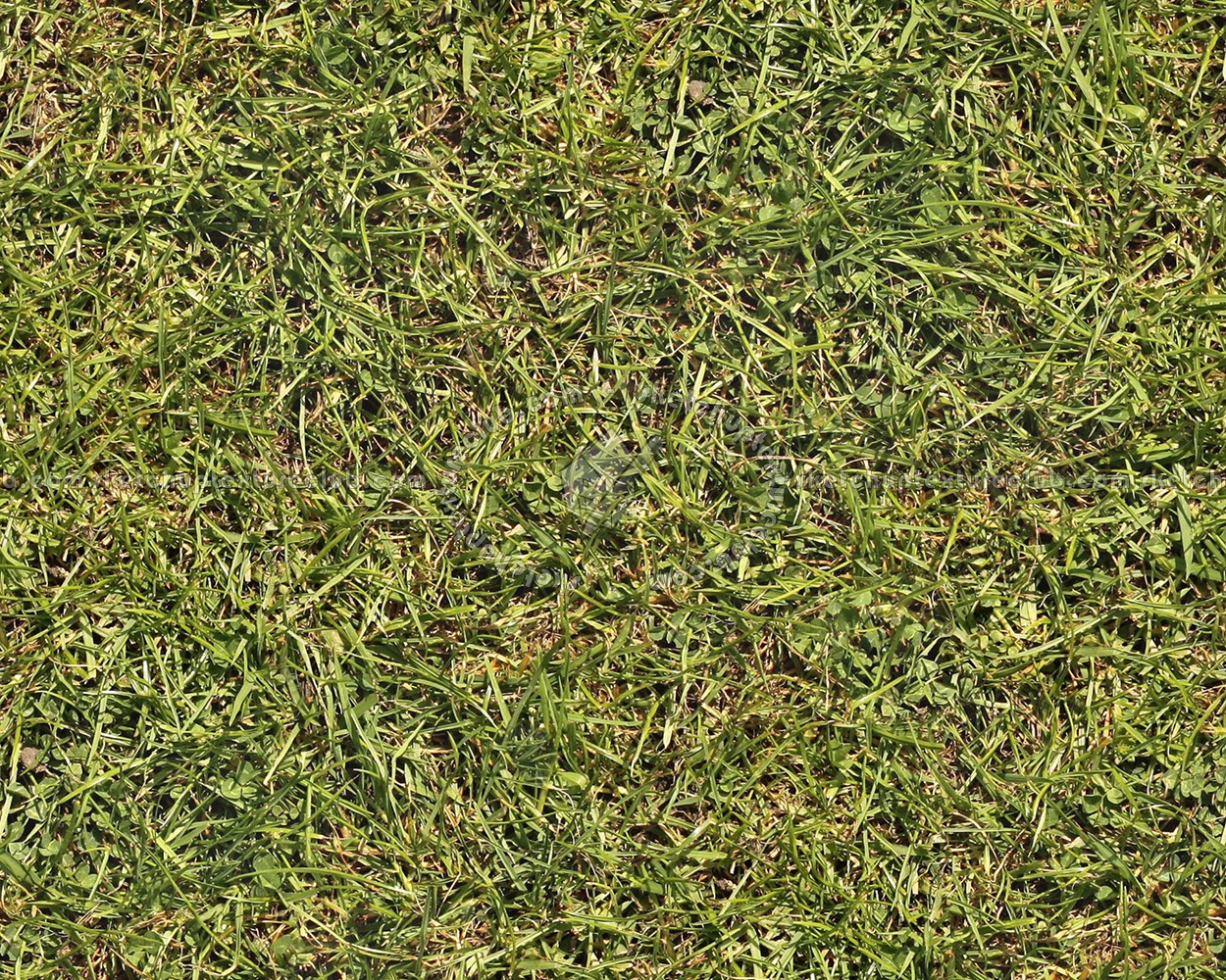 Textures   -   NATURE ELEMENTS   -   VEGETATION   -   Green grass  - Green grass texture seamless 12993 (seamless)