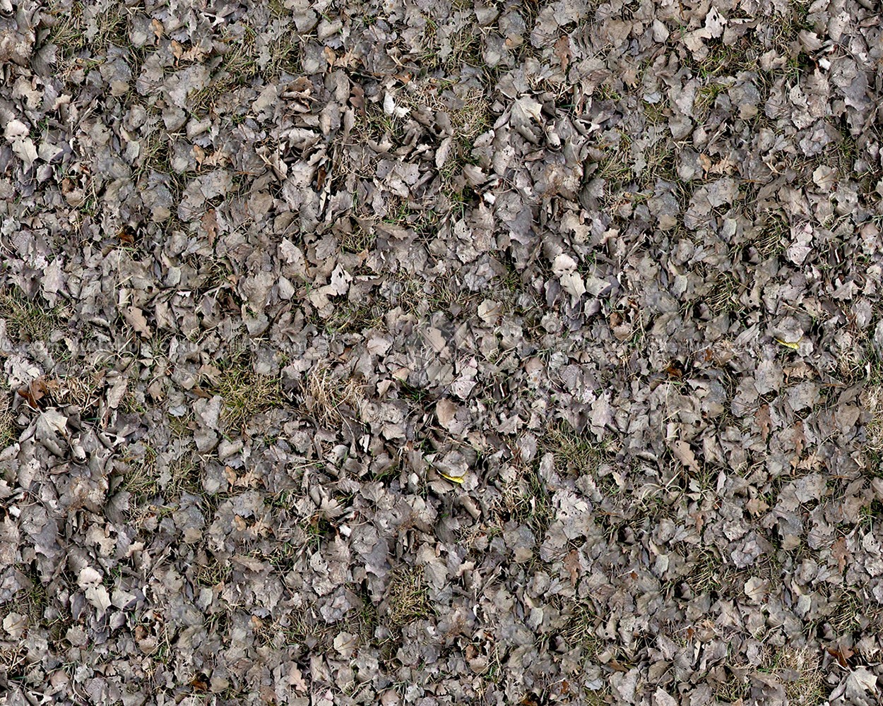 Textures   -   NATURE ELEMENTS   -   VEGETATION   -   Leaves dead  - Leaves dead texture seamless 13143 (seamless)