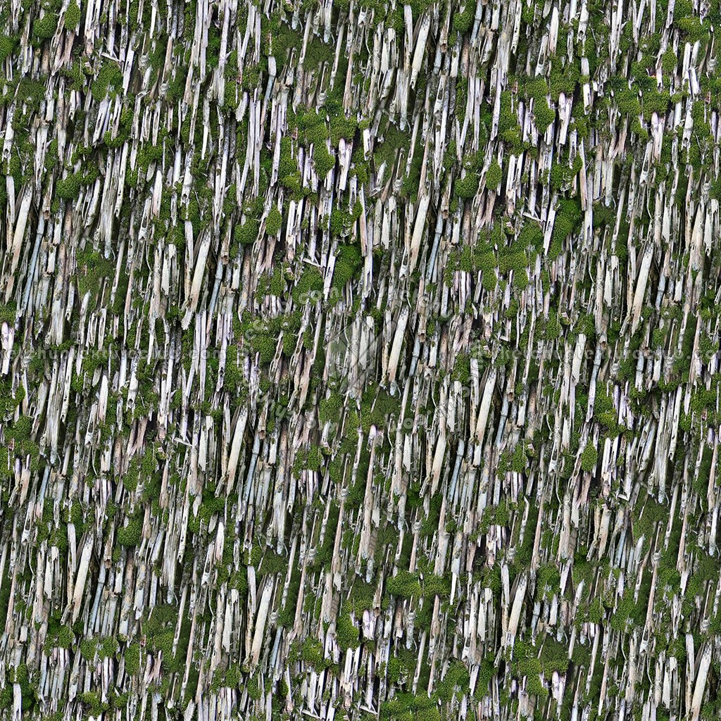 Textures   -   ARCHITECTURE   -   ROOFINGS   -   Thatched roofs  - Thatched roof texture seamless 04064 (seamless)