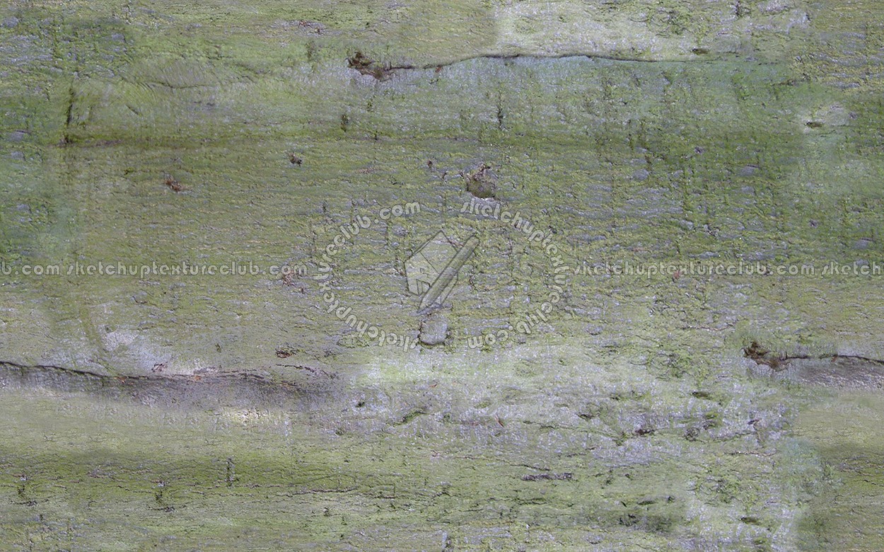 Textures - NATURE ELEMENTS - BARK - Bark texture seamless 12335 (seamless)