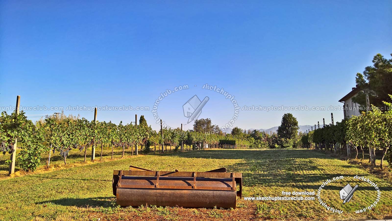 Textures   -   BACKGROUNDS &amp; LANDSCAPES   -   NATURE   -   Vineyards  - Italy vineyards background 18058