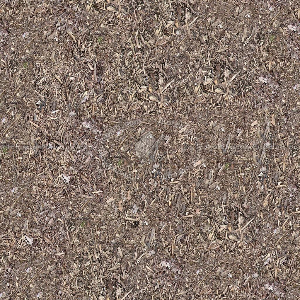 Textures   -   NATURE ELEMENTS   -   SOIL   -   Ground  - Ground texture seamless 12839 (seamless)