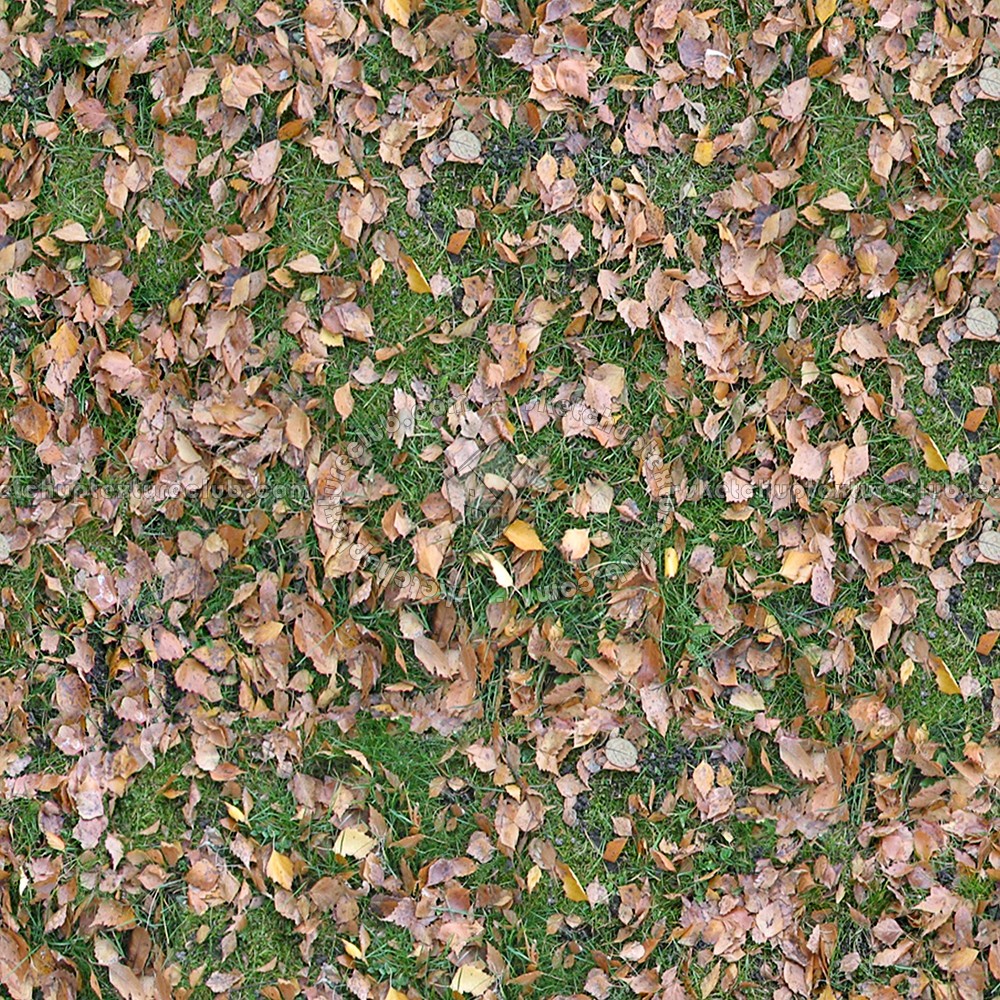 Textures   -   NATURE ELEMENTS   -   VEGETATION   -   Leaves dead  - Leaves dead texture seamless 13145 (seamless)
