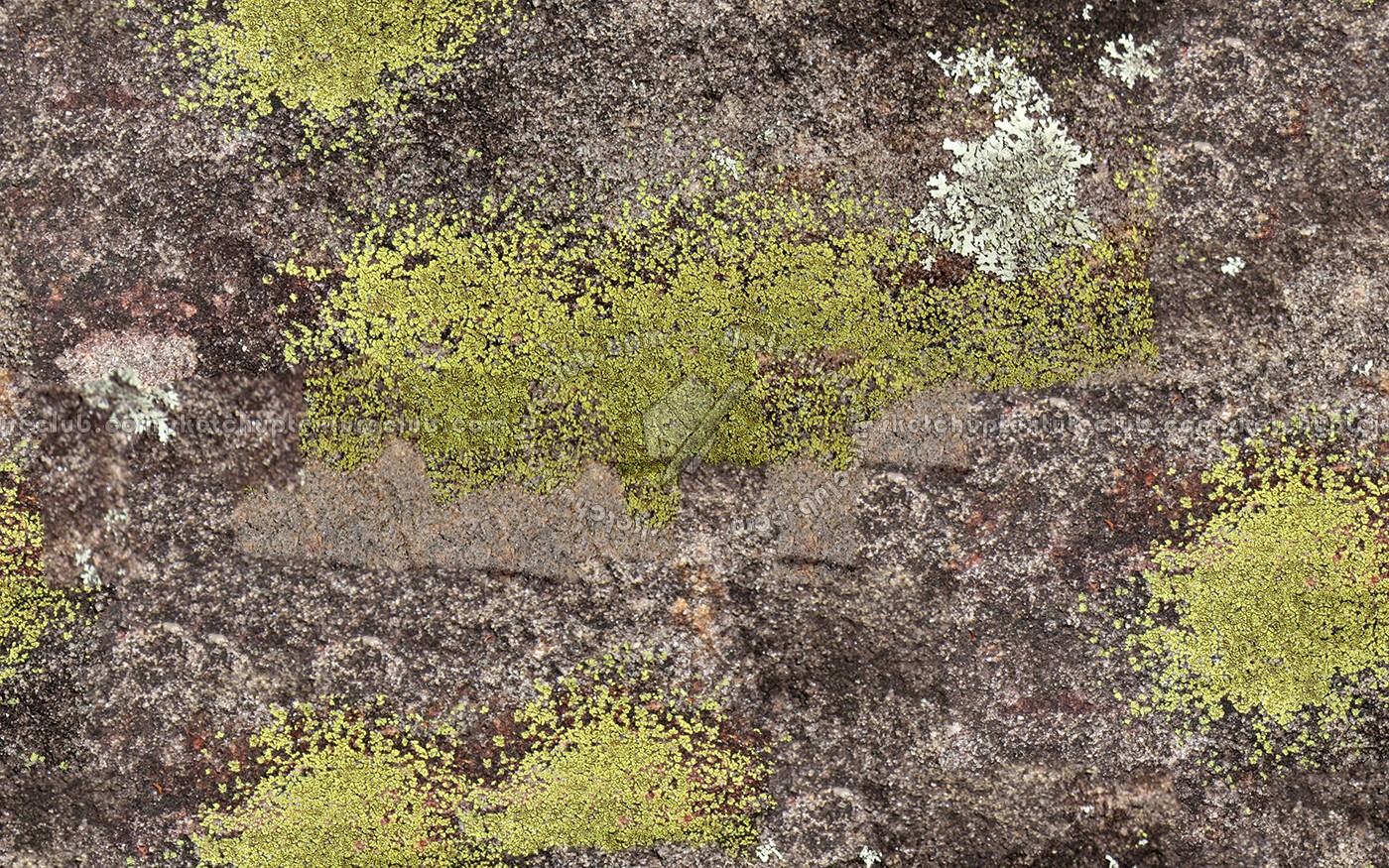 Textures   -   NATURE ELEMENTS   -   VEGETATION   -   Moss  - Moss texture seamless 13180 (seamless)