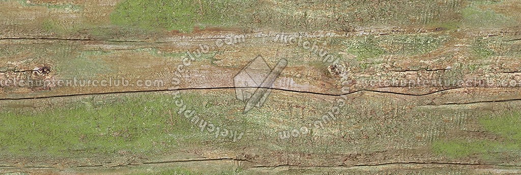 Textures   -   NATURE ELEMENTS   -   BARK  - Bark texture seamless 12337 (seamless)