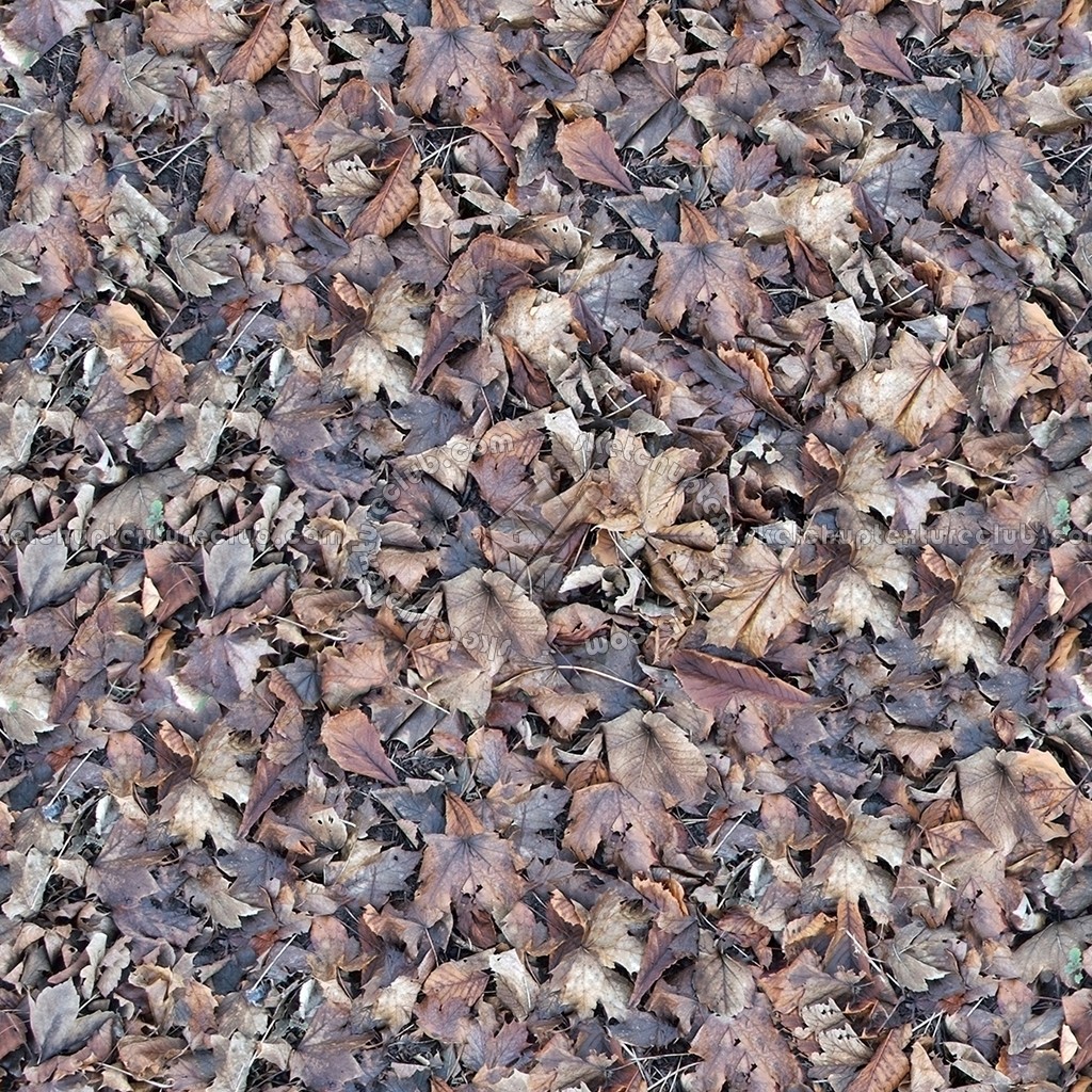 Textures   -   NATURE ELEMENTS   -   VEGETATION   -   Leaves dead  - Leaves dead texture seamless 13146 (seamless)