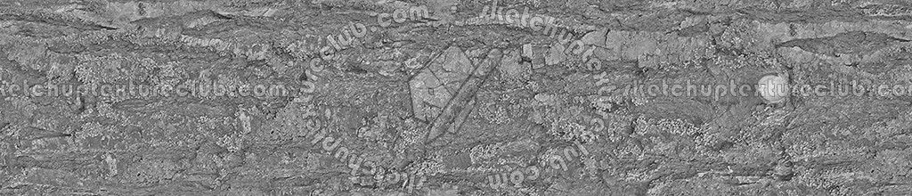 Textures   -   NATURE ELEMENTS   -   BARK  - Bark texture seamless 12338 - Bump