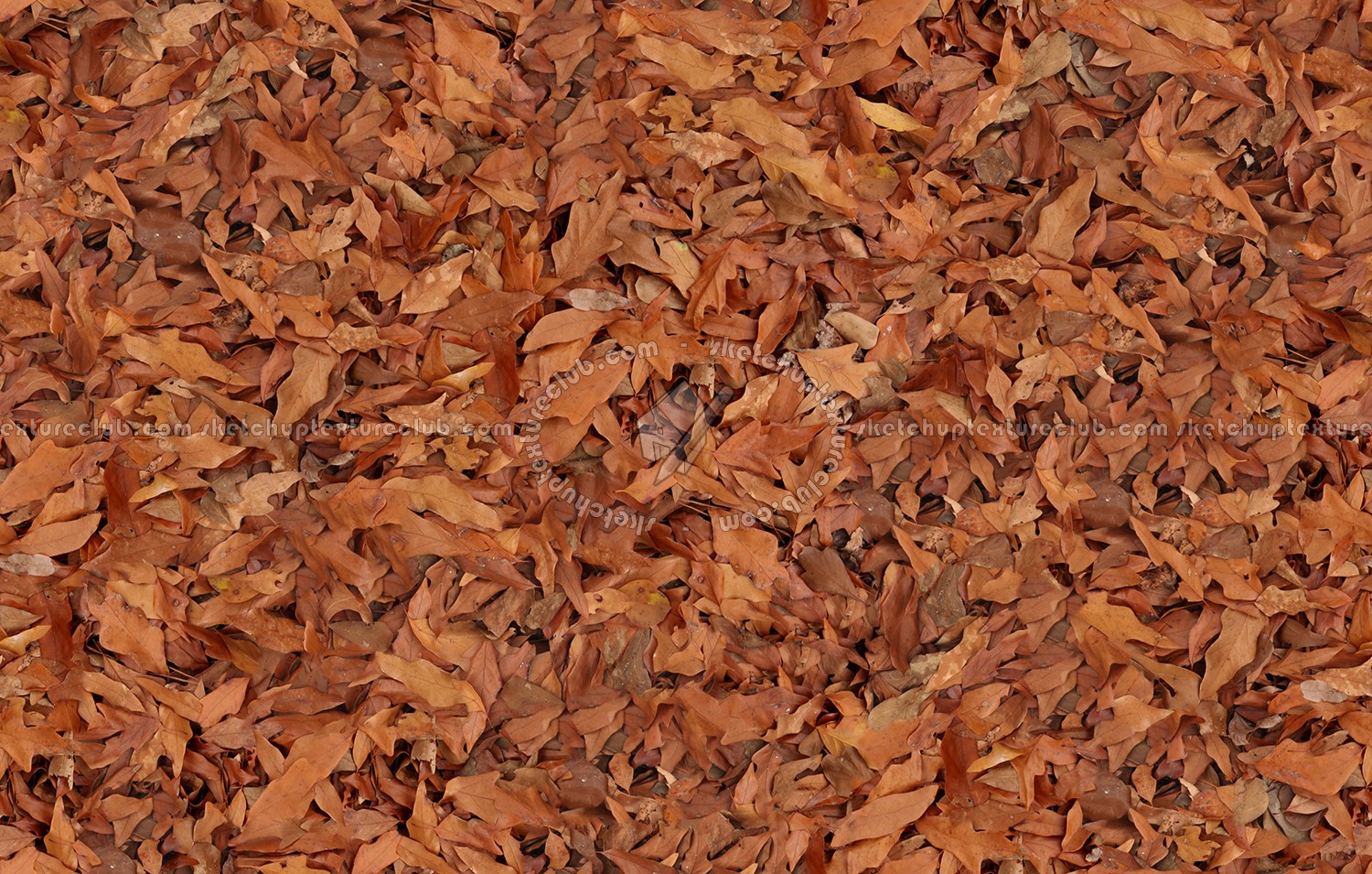 Textures   -   NATURE ELEMENTS   -   VEGETATION   -   Leaves dead  - Leaves dead texture seamless 13147 (seamless)