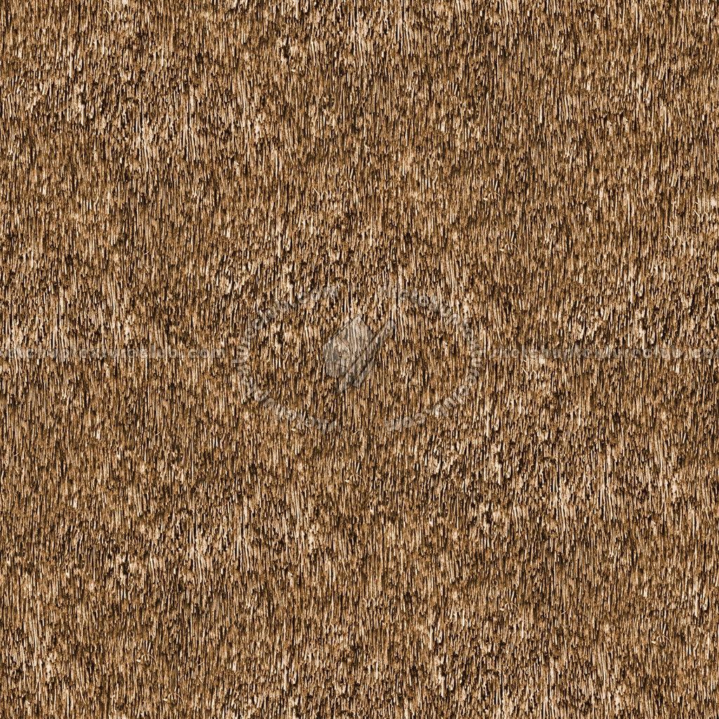 Textures   -   ARCHITECTURE   -   ROOFINGS   -   Thatched roofs  - Thatched roof texture seamless 04068 (seamless)