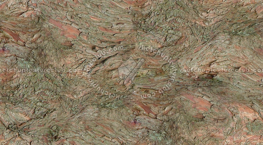 Textures   -   NATURE ELEMENTS   -   BARK  - Bark texture seamless 12339 (seamless)