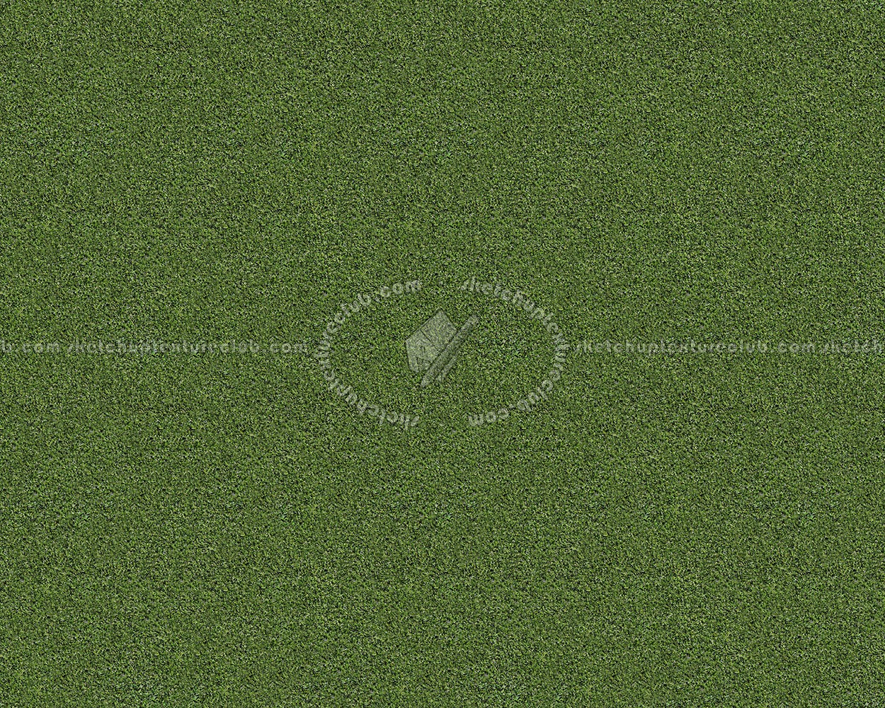 Textures   -   NATURE ELEMENTS   -   VEGETATION   -   Green grass  - Green grass texture seamless 12998 (seamless)