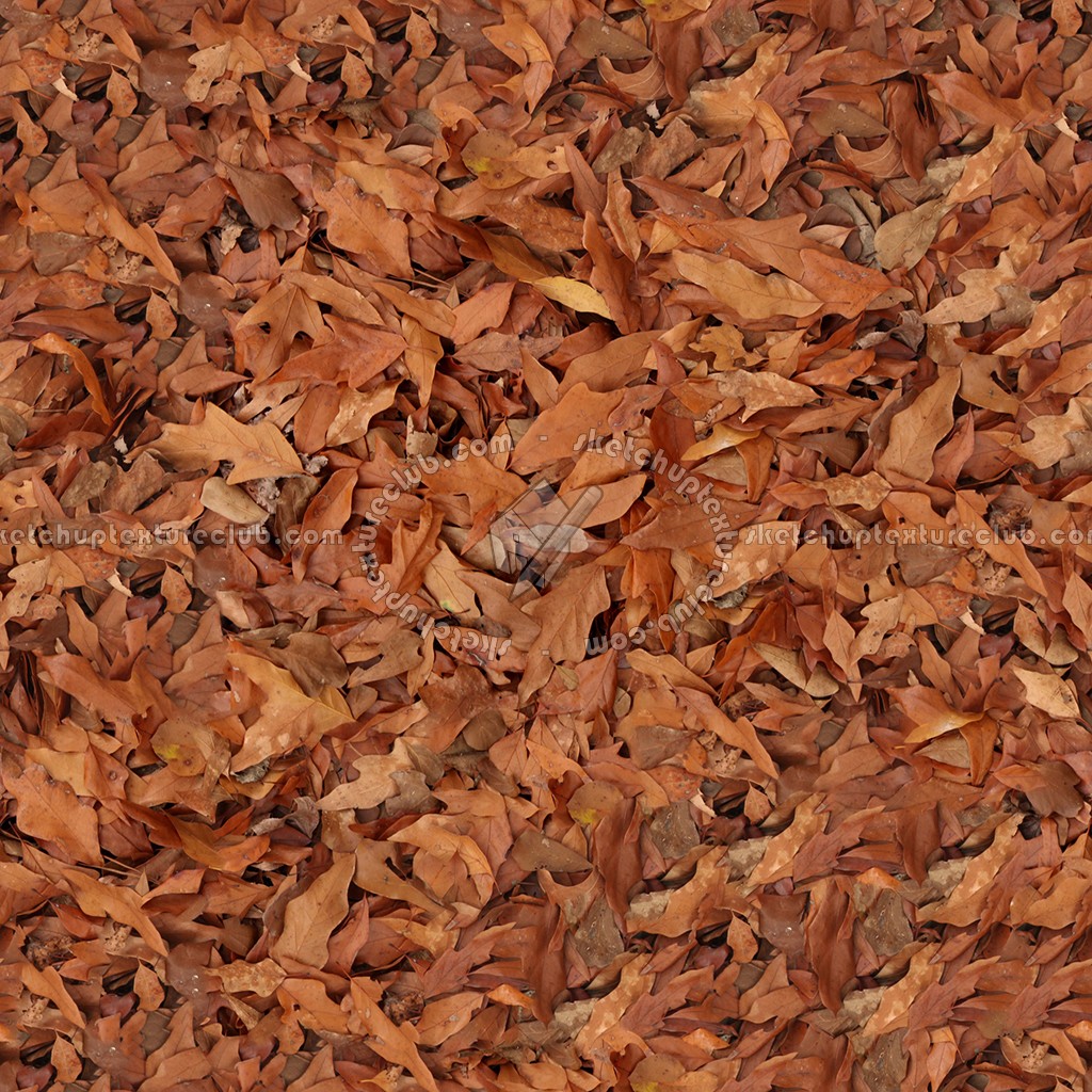 Textures   -   NATURE ELEMENTS   -   VEGETATION   -   Leaves dead  - Leaves dead texture seamless 13148 (seamless)
