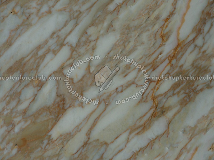 Textures - ARCHITECTURE - MARBLE SLABS - White - Slab marble white calacatta gold texture seamless 02603 (seamless)