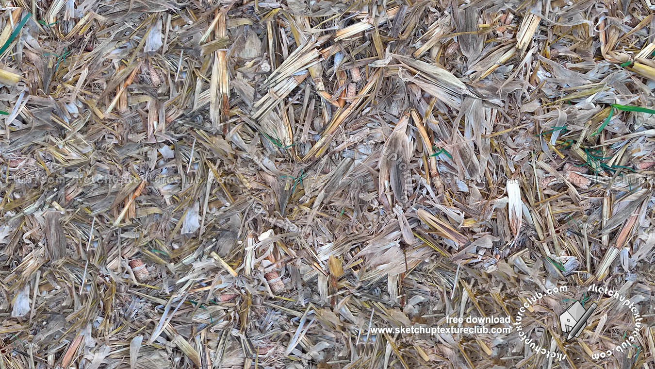 Textures   -   NATURE ELEMENTS   -   VEGETATION   -   Dry grass  - Dry leaves after harvest of corn texture seamless 18655 (seamless)