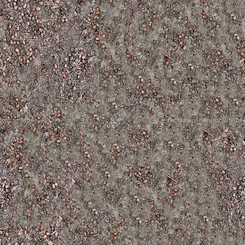 Textures   -   NATURE ELEMENTS   -   SOIL   -   Ground  - Ground texture seamless 12843 (seamless)