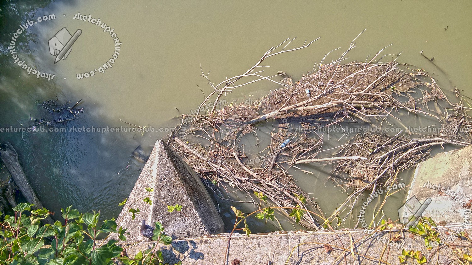 Textures   -   NATURE ELEMENTS   -   WATER   -   Streams  - Dirt water stream texture 17391