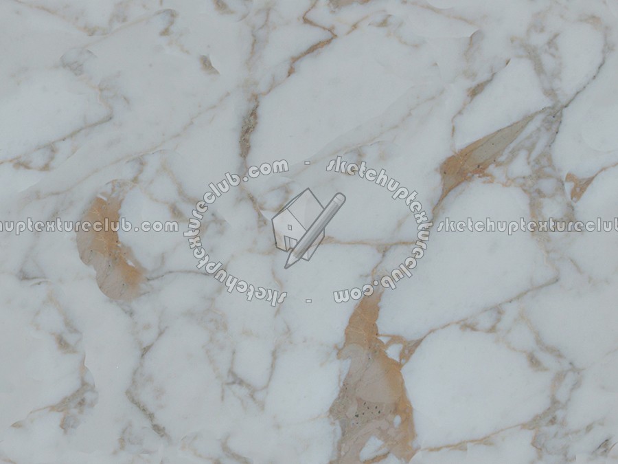 Textures   -   ARCHITECTURE   -   MARBLE SLABS   -   White  - Slab marble white calacatta gold texture seamless 02605 (seamless)
