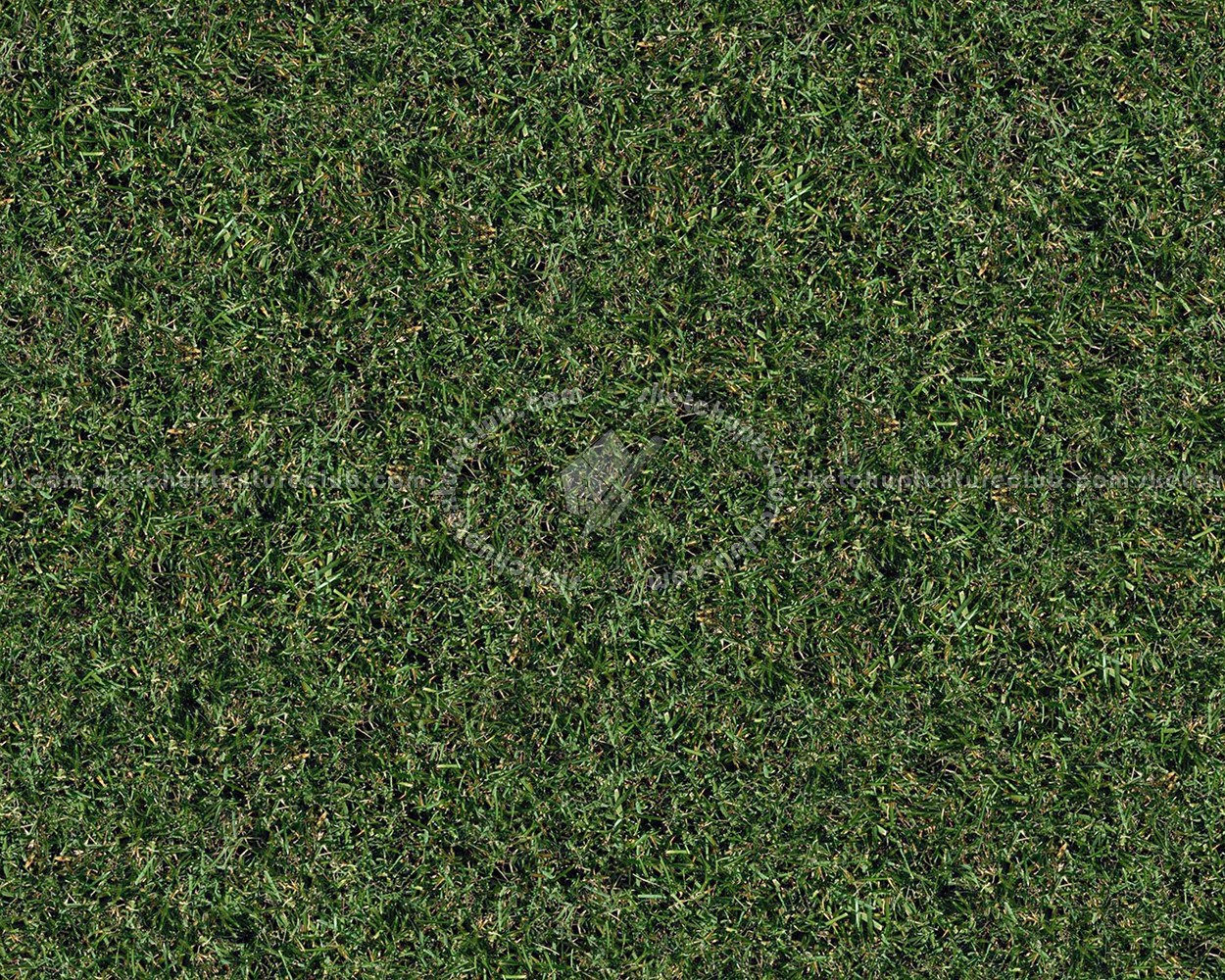 Textures   -   NATURE ELEMENTS   -   VEGETATION   -   Green grass  - Green grass texture seamless 13001 (seamless)