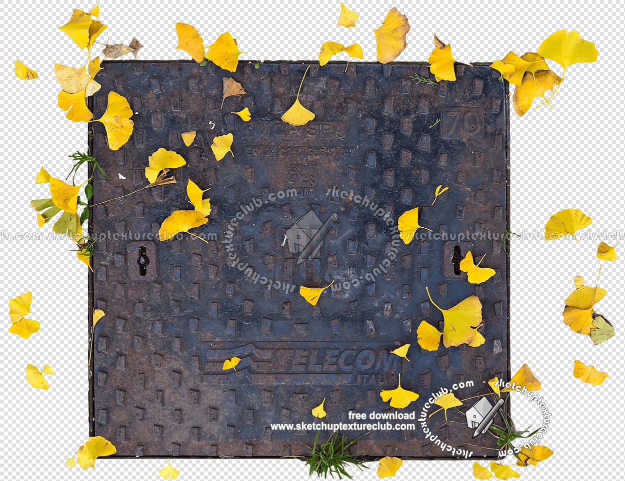 Textures - ARCHITECTURE - ROADS - Street elements - Rusty metal manhole with leaves texture 20441