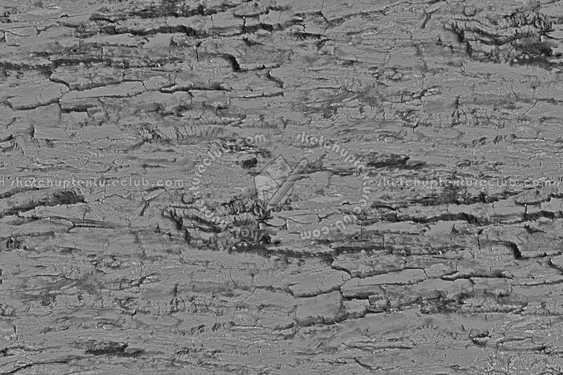 Textures   -   NATURE ELEMENTS   -   BARK  - Bark texture seamless 12343 - Bump