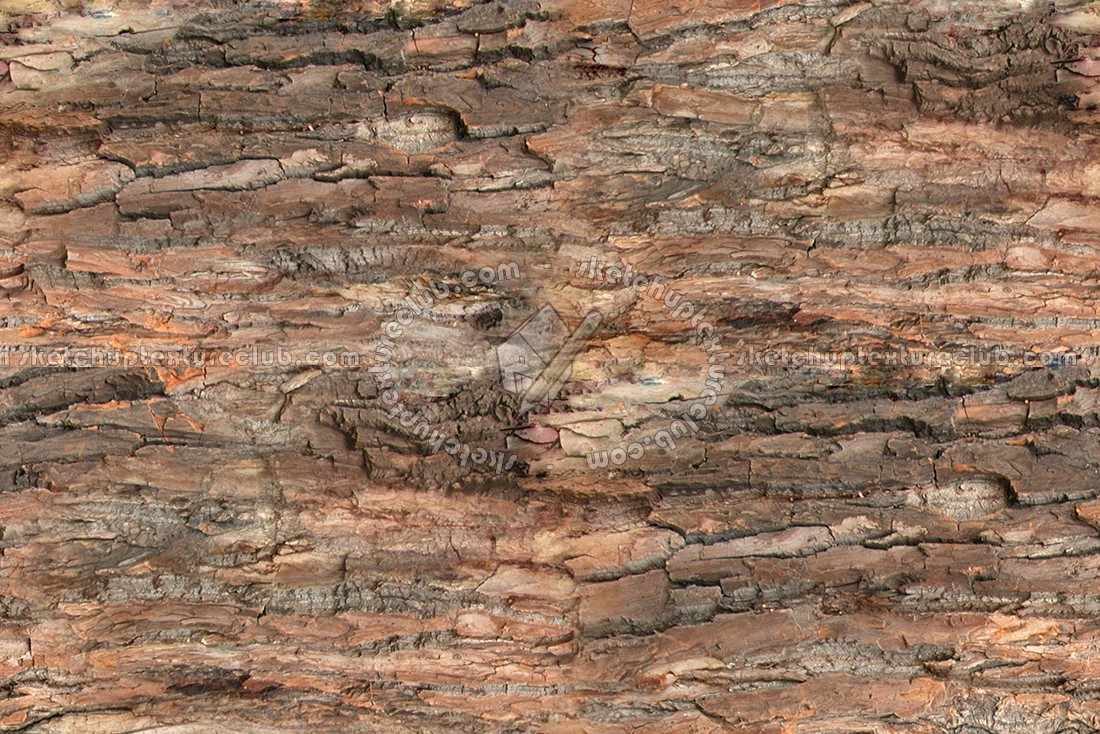 Textures   -   NATURE ELEMENTS   -   BARK  - Bark texture seamless 12343 (seamless)