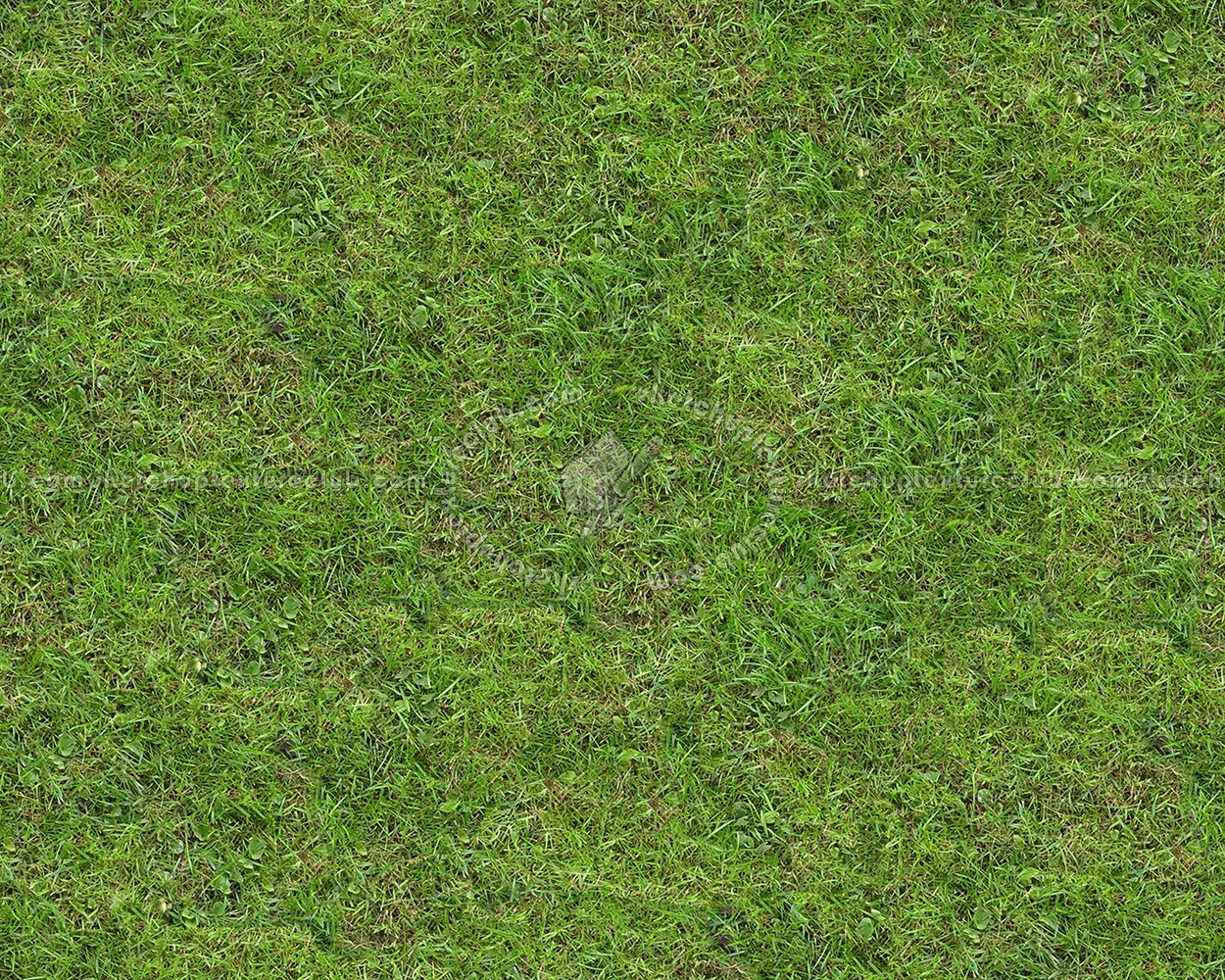 Textures   -   NATURE ELEMENTS   -   VEGETATION   -   Green grass  - Green grass texture seamless 13002 (seamless)