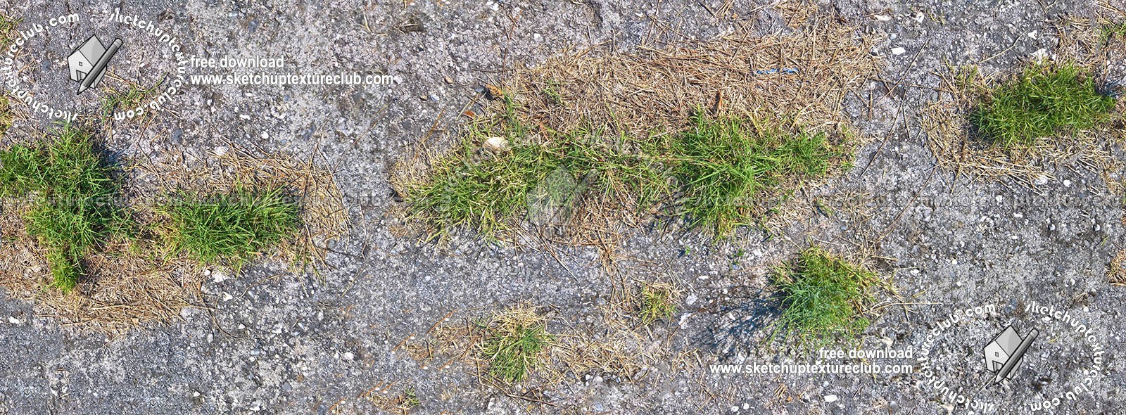 Textures - ARCHITECTURE - ROADS - Asphalt damaged - Damaged asphalt with grass texture seamless 18733 (seamless)