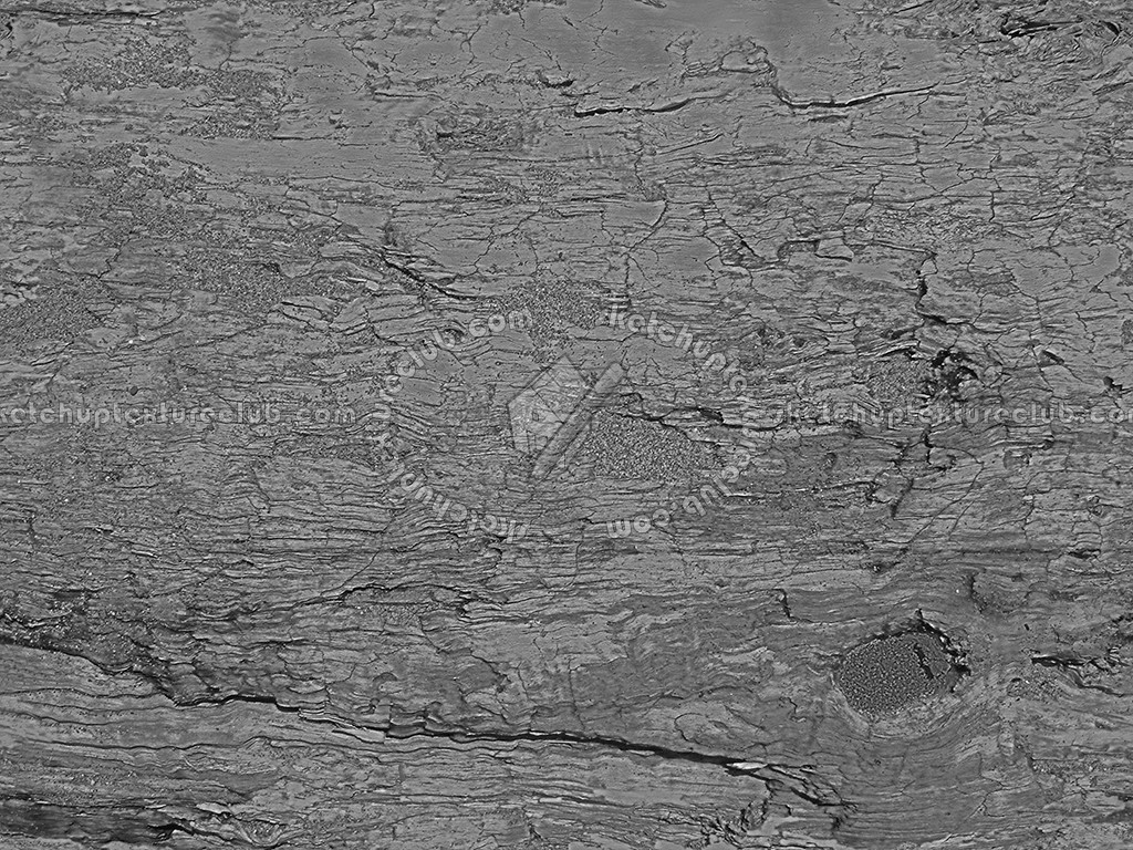 Textures - NATURE ELEMENTS - BARK - Bark texture seamless 12345 - Bump