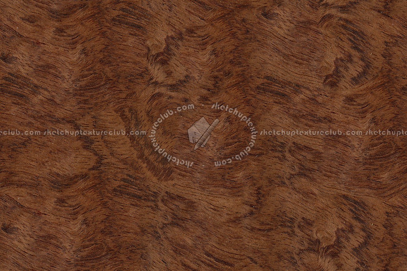 Textures   -   ARCHITECTURE   -   WOOD   -   Fine wood   -   Medium wood  - Bubinga wood fine medium color texture seamless 04436 (seamless)