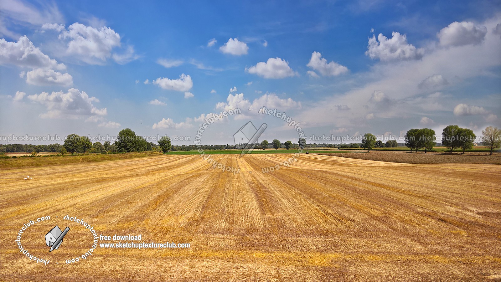 Textures   -   BACKGROUNDS &amp; LANDSCAPES   -   NATURE   -   Countrysides &amp; Hills  - Plowed land countrysides landscape texture 17960