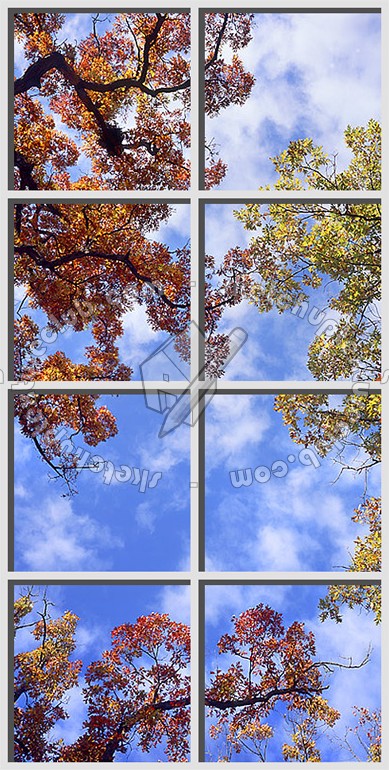 Textures   -   ARCHITECTURE   -   BUILDINGS   -   Windows   -   special windows  - Special window texture 01163