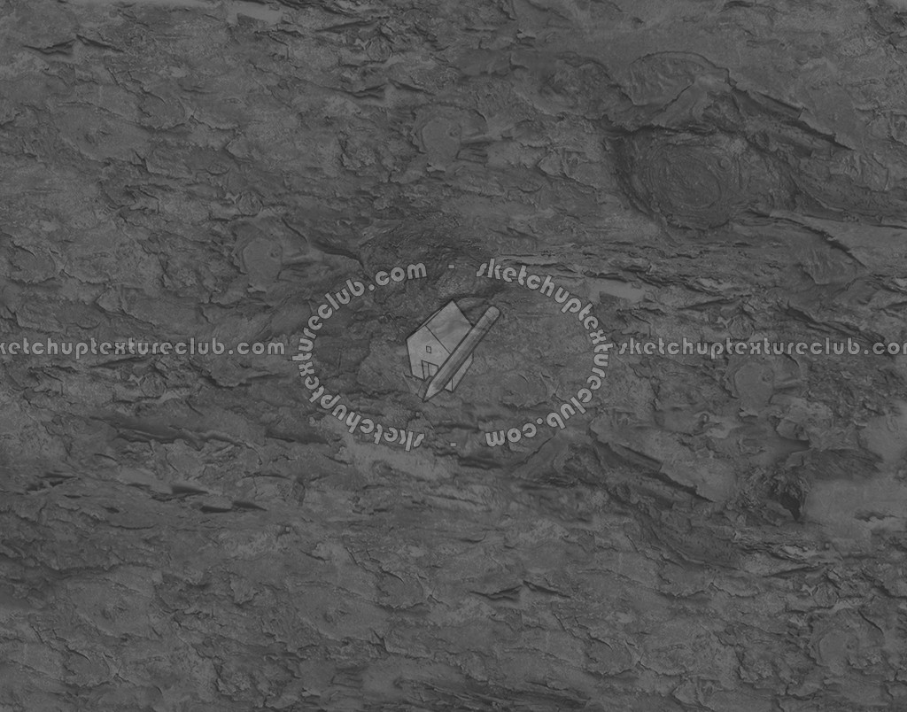 Textures - NATURE ELEMENTS - BARK - Bark texture seamless 12346 - Bump