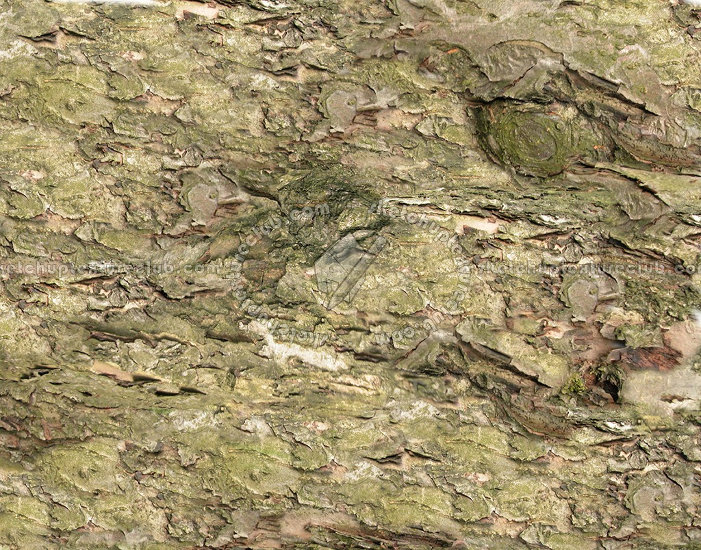 Textures - NATURE ELEMENTS - BARK - Bark texture seamless 12346 (seamless)