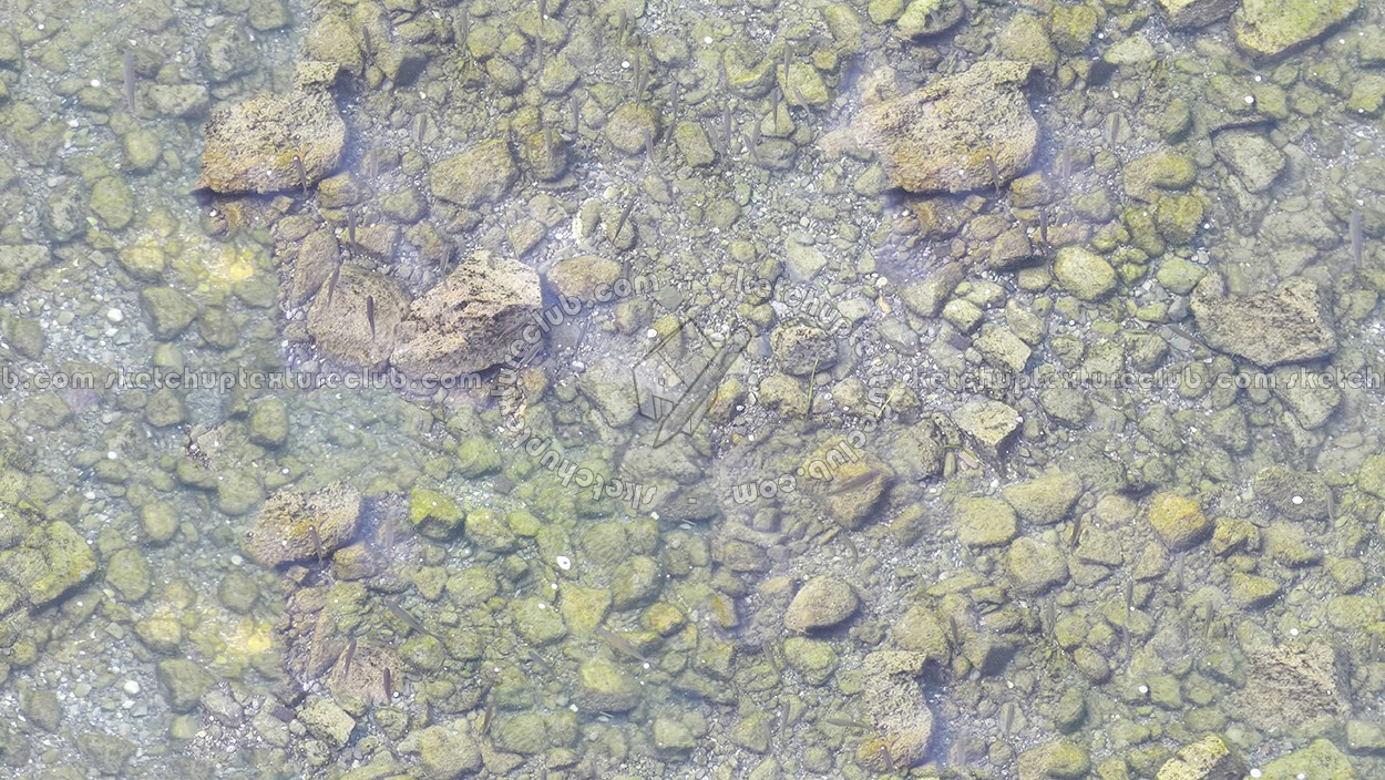 Textures - NATURE ELEMENTS - WATER - Streams - Water with stone and fish texture seamless 17903 (seamless)