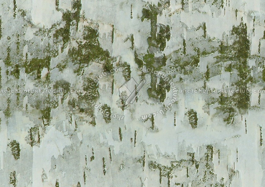 Textures   -   NATURE ELEMENTS   -   BARK  - Bark texture seamless 12347 (seamless)