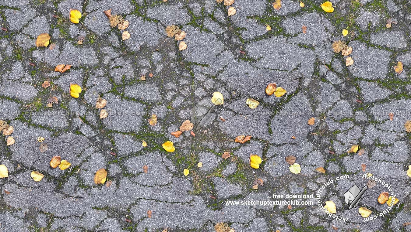 Textures - ARCHITECTURE - ROADS - Asphalt damaged - Damaged asphalt with dead leaves and moss texture seamless 19255 (seamless)