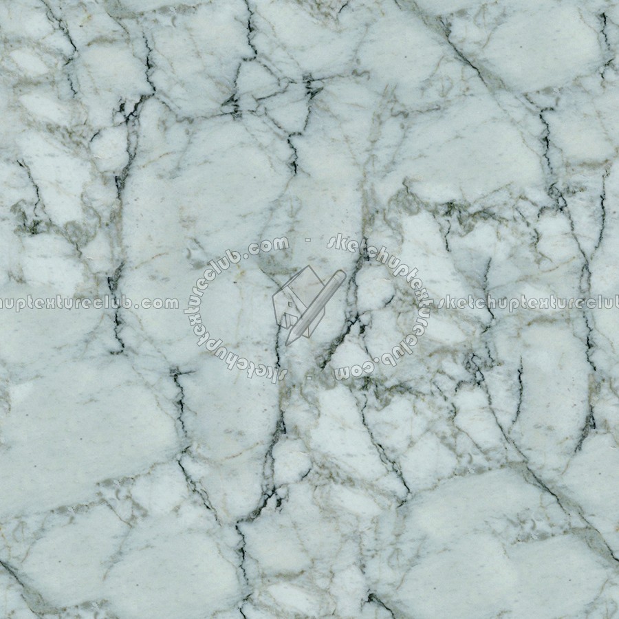 Textures - ARCHITECTURE - MARBLE SLABS - White - Slab marble white calacatta texture seamless 02612 (seamless)