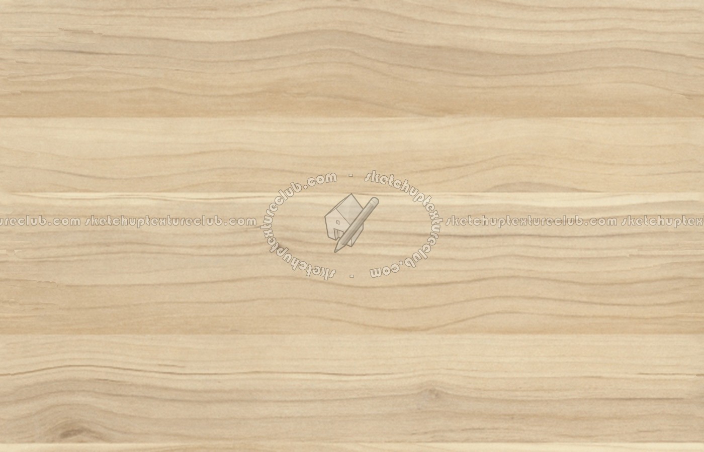 Birch plywood texture seamless 04550