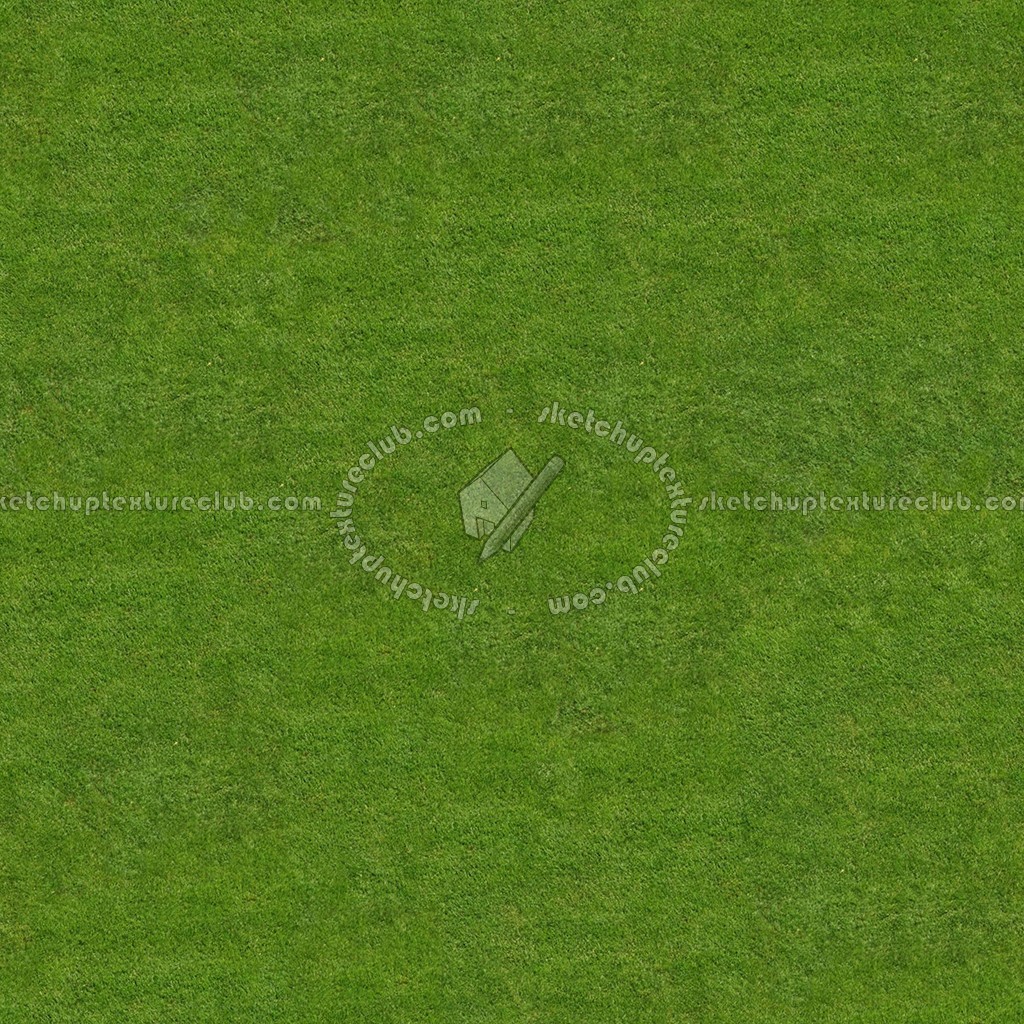 Textures   -   NATURE ELEMENTS   -   VEGETATION   -   Green grass  - Green grass texture seamless 13008 (seamless)