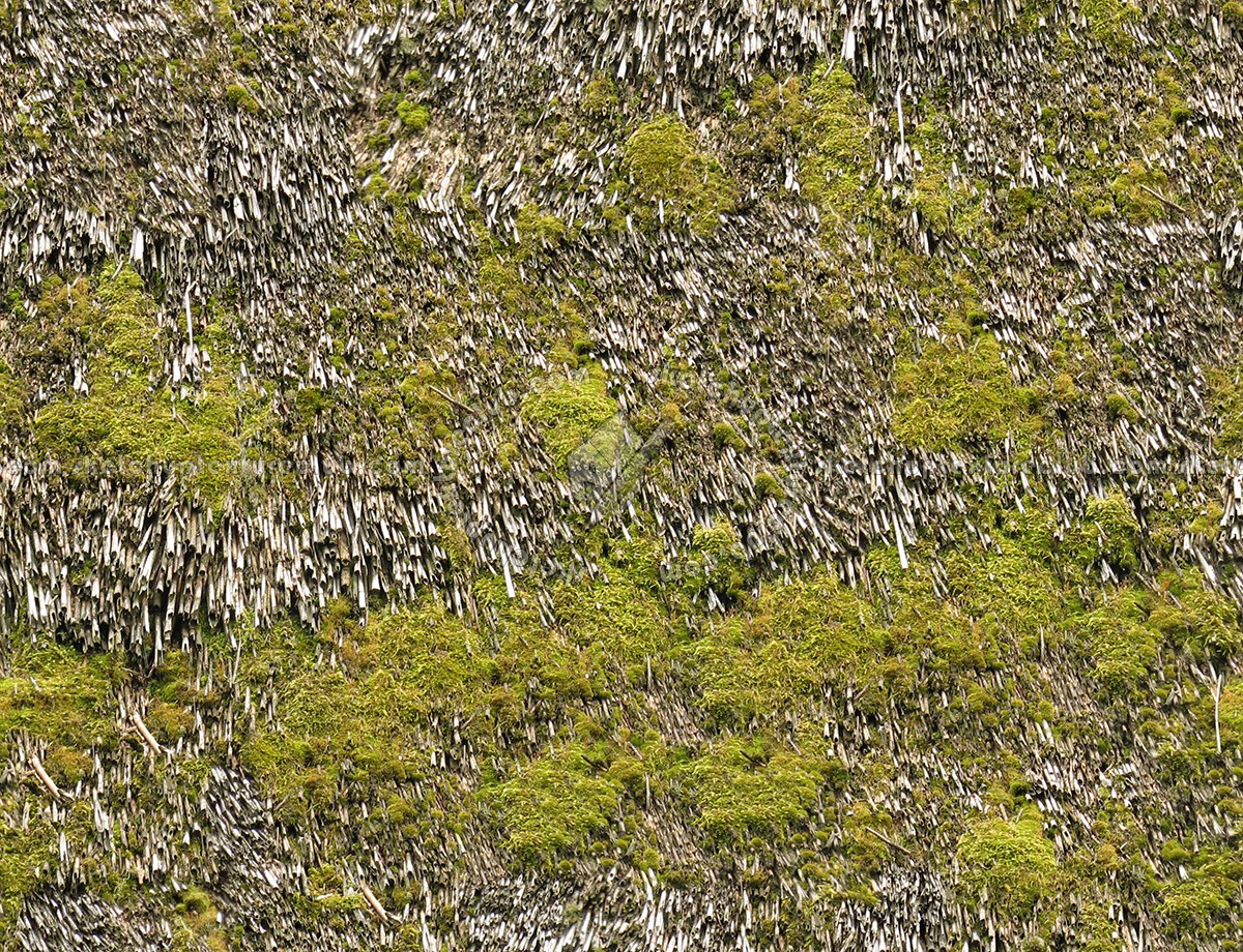 Textures   -   ARCHITECTURE   -   ROOFINGS   -   Thatched roofs  - Thatched roof texture seamless 17350 (seamless)