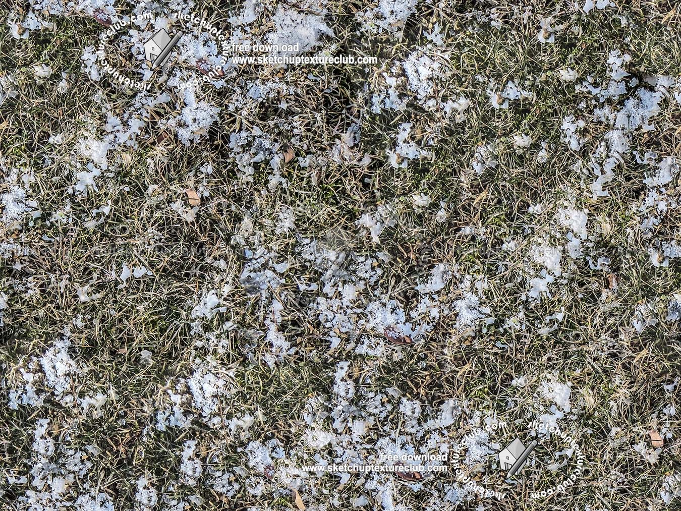 Textures - NATURE ELEMENTS - SNOW - Grass with splashes of snow texture seamless 20210 (seamless)