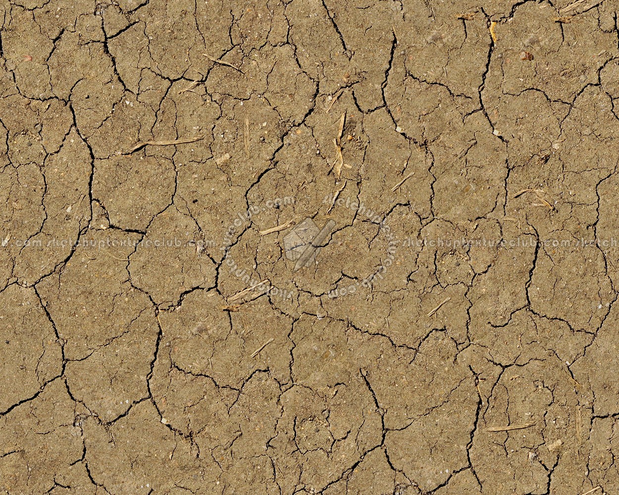 Textures   -   NATURE ELEMENTS   -   SOIL   -   Ground  - Ground texture seamless 12853 (seamless)