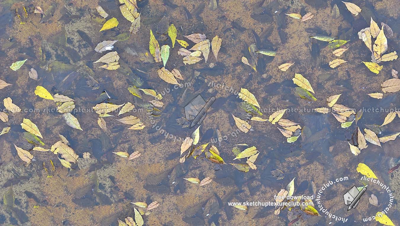 Textures   -   NATURE ELEMENTS   -   WATER   -   Streams  - Water with dead leaves texture seamless 19256 (seamless)