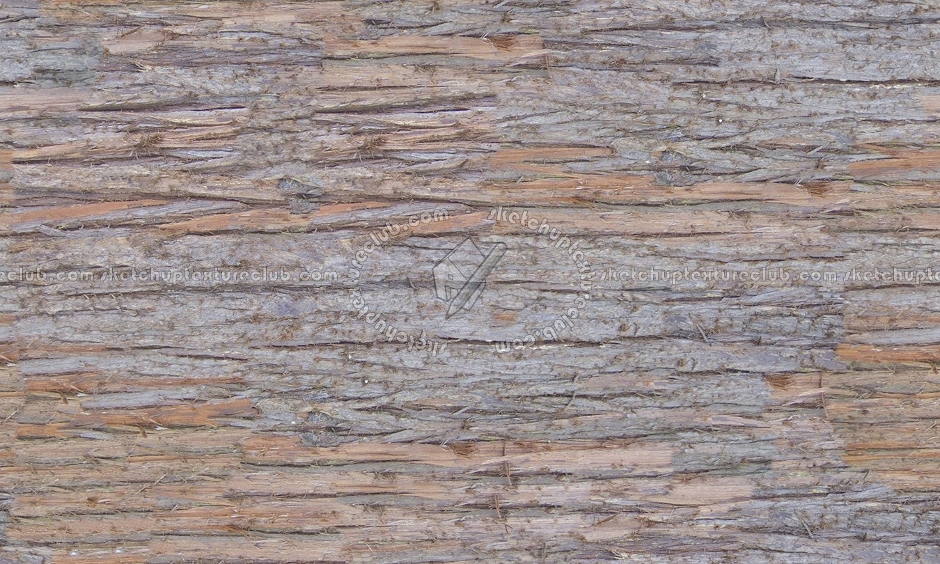 Textures   -   NATURE ELEMENTS   -   BARK  - Bark texture seamless 12354 (seamless)