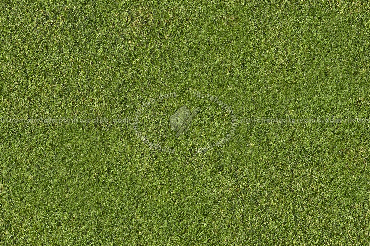 Textures   -   NATURE ELEMENTS   -   VEGETATION   -   Green grass  - Green grass texture seamless 13013 (seamless)
