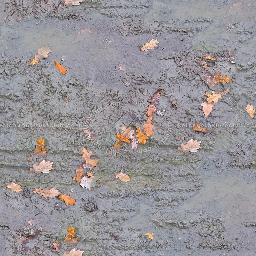 Textures   -   NATURE ELEMENTS   -   SOIL   -   Mud  - Mud with leaves texture seamless 21312 (seamless)