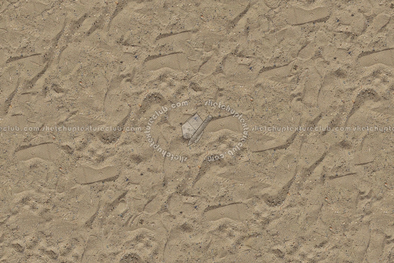 Textures   -   NATURE ELEMENTS   -   SAND  - Beach sand texture seamless 12747 (seamless)