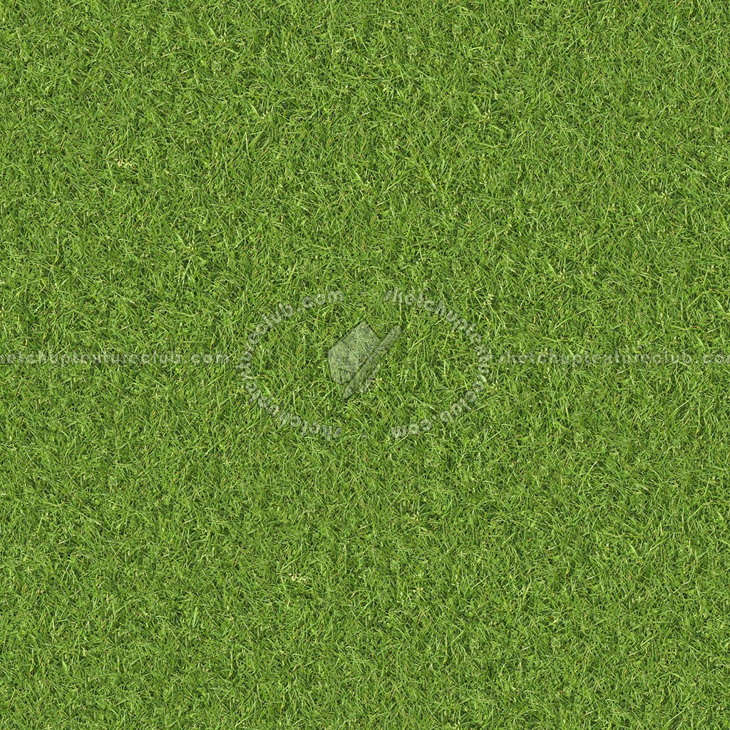 Textures   -   NATURE ELEMENTS   -   VEGETATION   -   Green grass  - Green grass texture seamless 13016 (seamless)