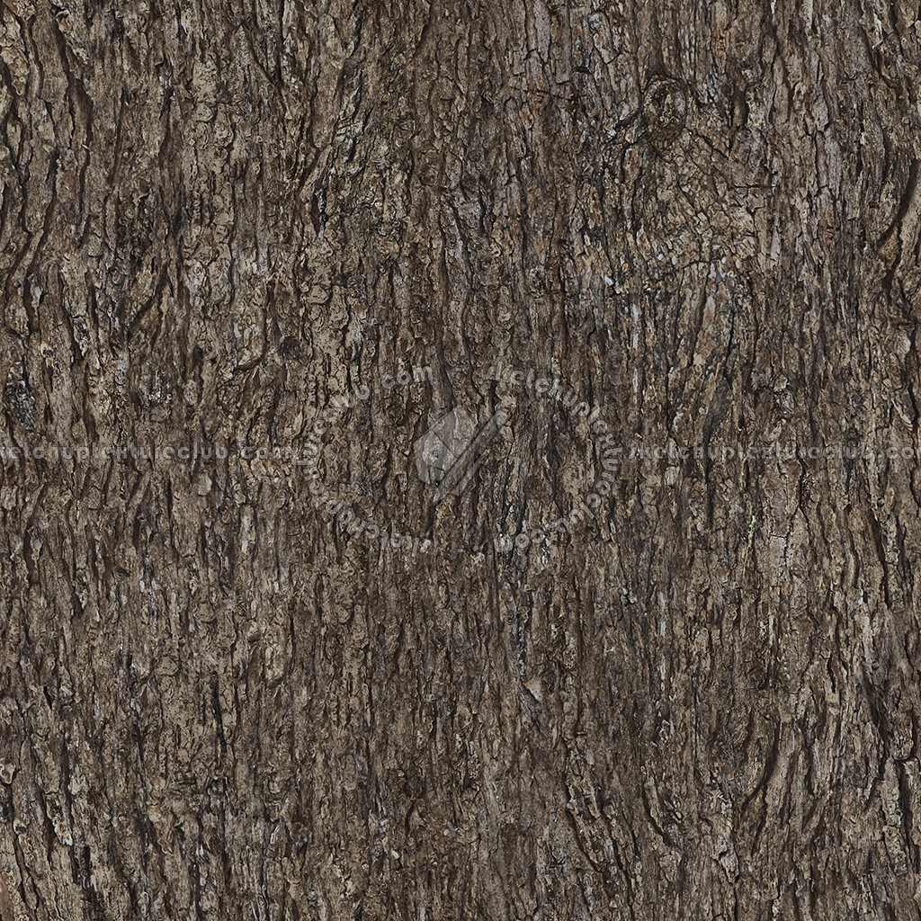 Textures   -   NATURE ELEMENTS   -   BARK  - Bark texture seamless 12359 (seamless)