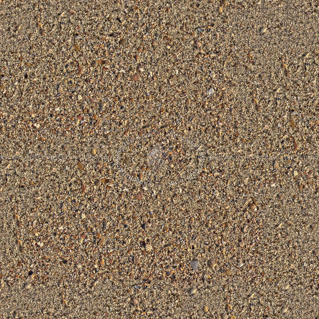 Textures   -   NATURE ELEMENTS   -   SAND  - Beach sand texture seamless 12751 (seamless)